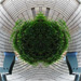 Pillowed ball of leafs