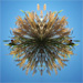 The ball of grass
